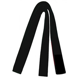 BJJ Belt